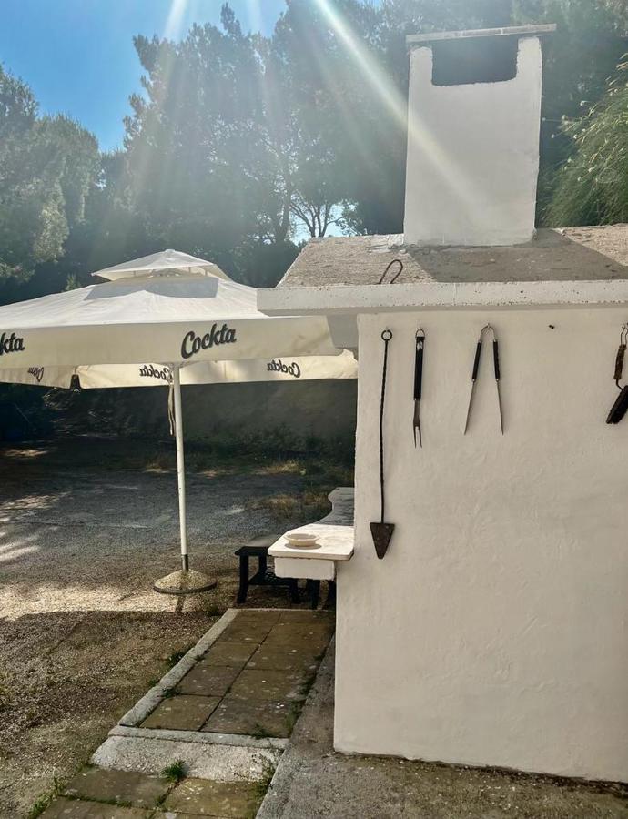 Apartmani Branko Vojnovic Omiš Dış mekan fotoğraf